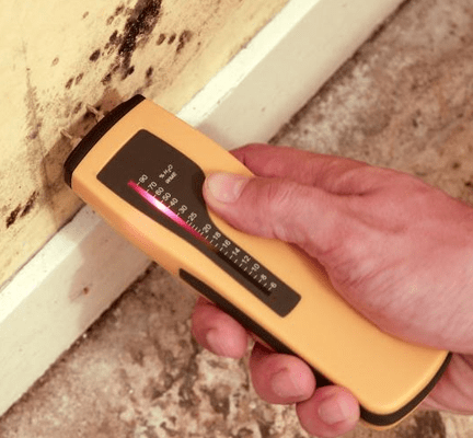 Mold Inspection and Survey Minneapolis-service-image