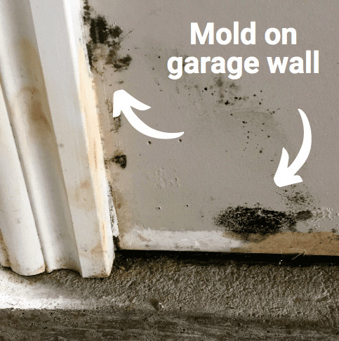 Garage Mold Removal: Protecting Your Space in Minneapolis, MN-blogimage