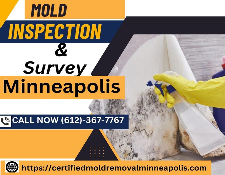 Why Hiring a Mold Inspector is Important?-blogimage