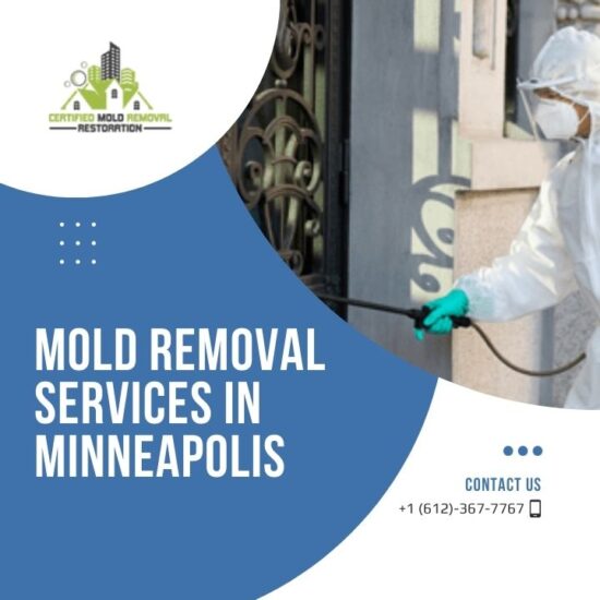 The Latest Trends in Mold Remediation by Certified Mold Removal Minneapolis-blogimage