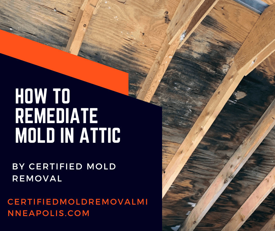 How to Remediate Mold in Attic Plywood-blogimage